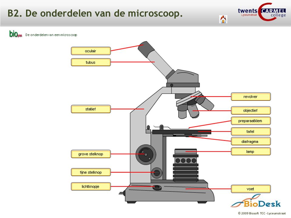 B2. De onderdelen van de microscoop.