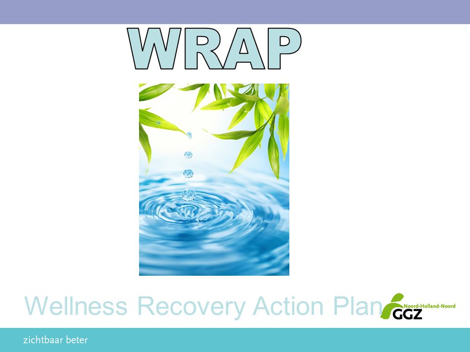 Wellness Recovery Action Plan