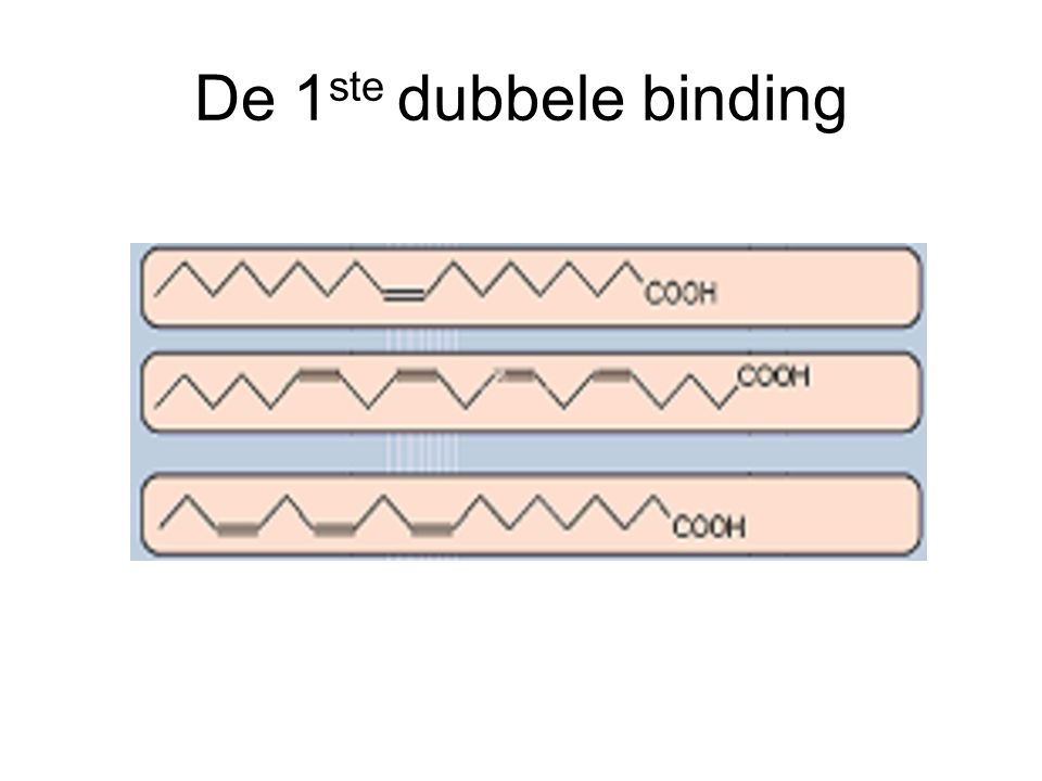 De 1ste dubbele binding