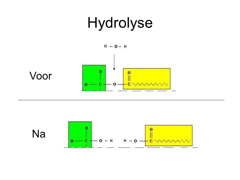 Hydrolyse Voor Na