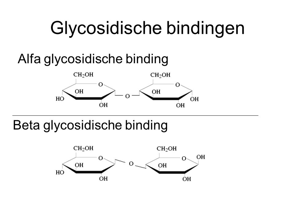 Glycosidische bindingen