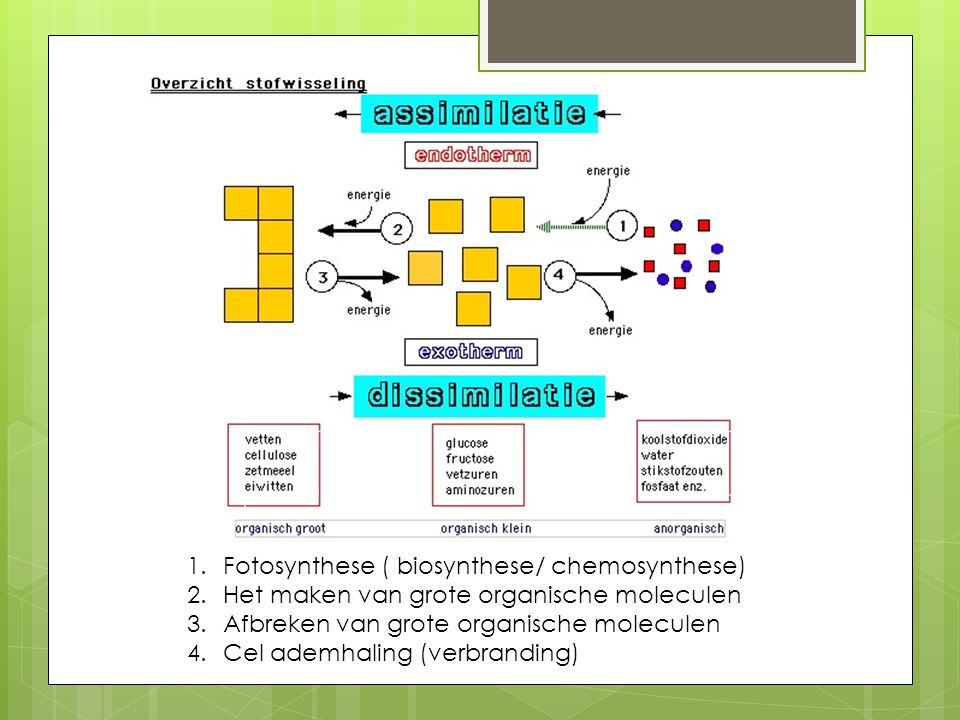Fotosynthese ( biosynthese/ chemosynthese)
