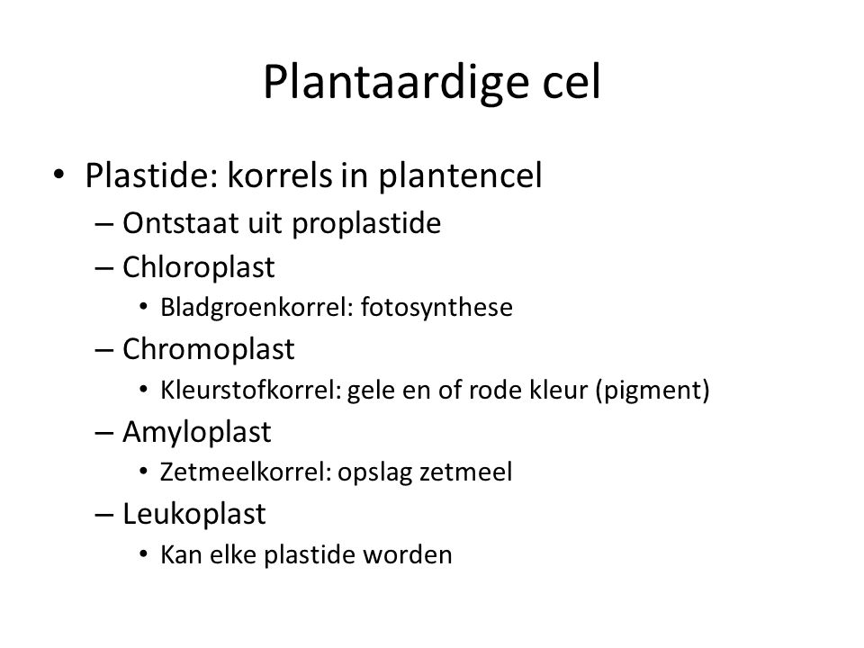 Plantaardige cel Plastide: korrels in plantencel