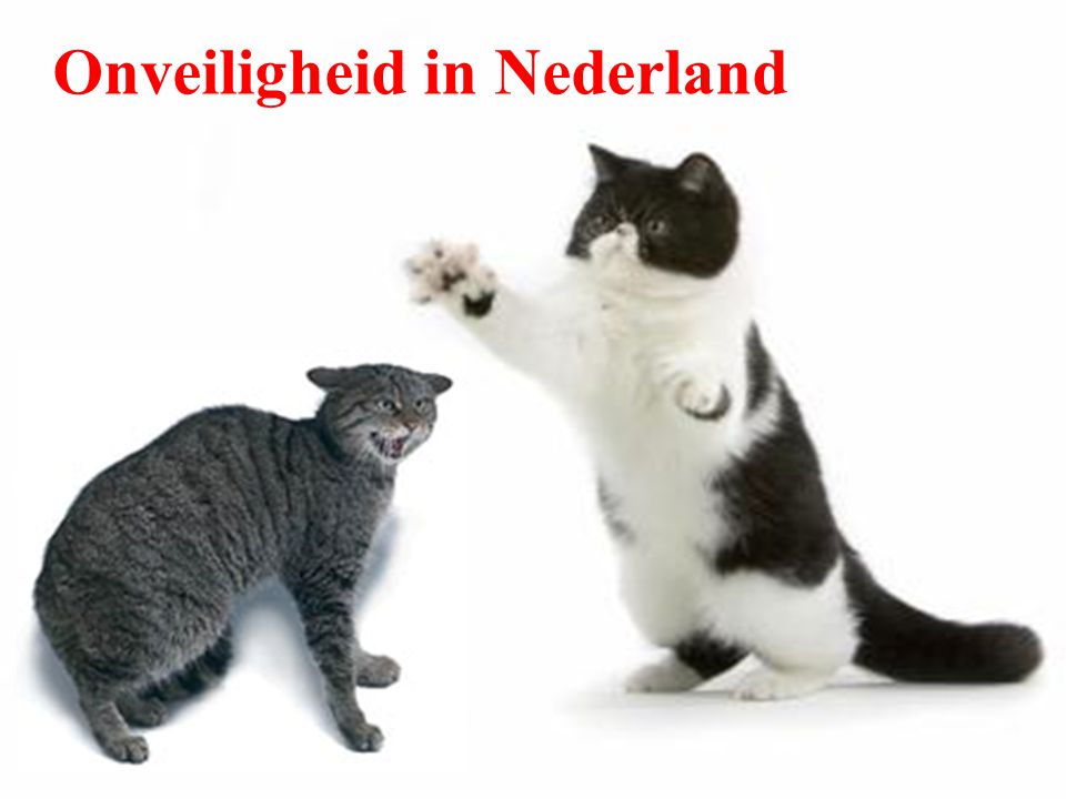 Onveiligheid in Nederland