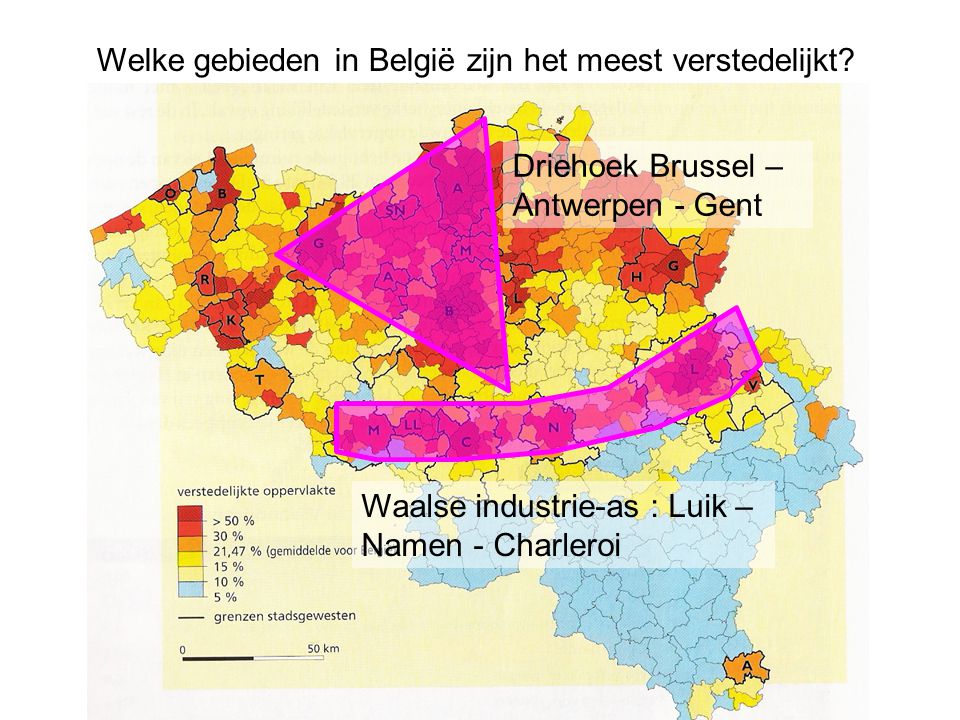 Welke gebieden in België zijn het meest verstedelijkt