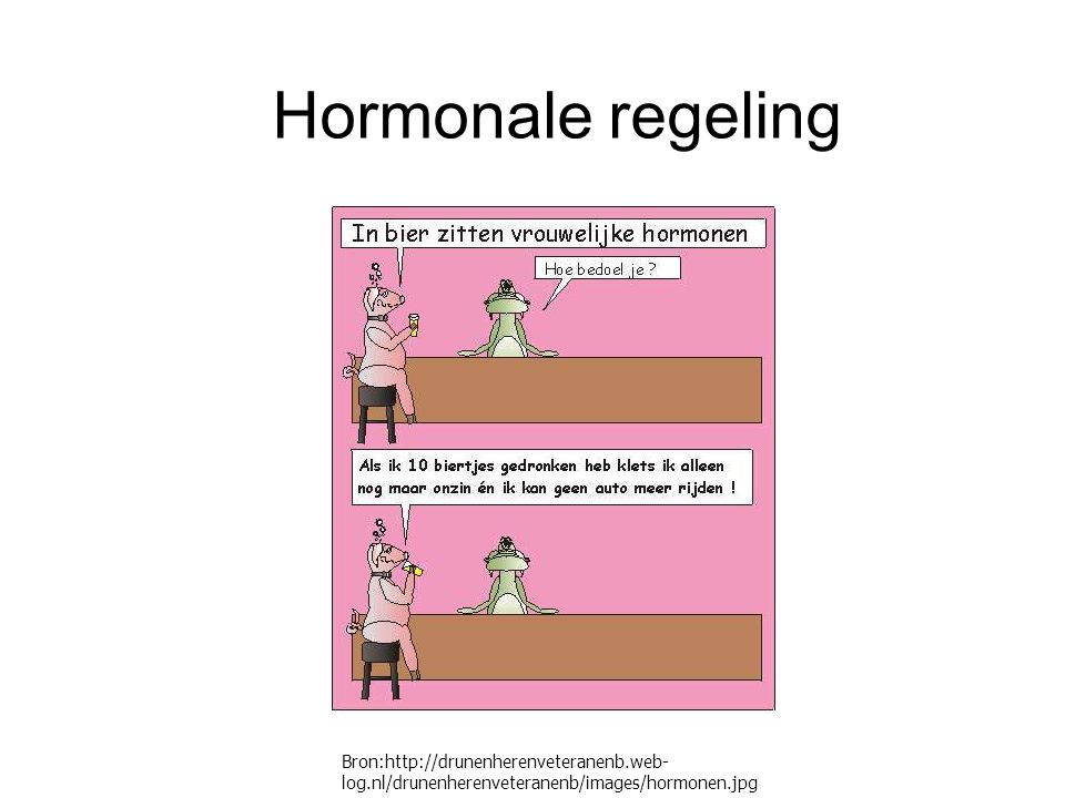 Hormonale regeling Bron: