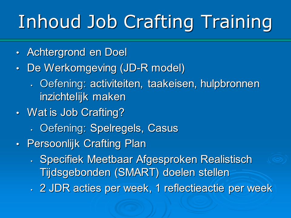 Inhoud Job Crafting Training
