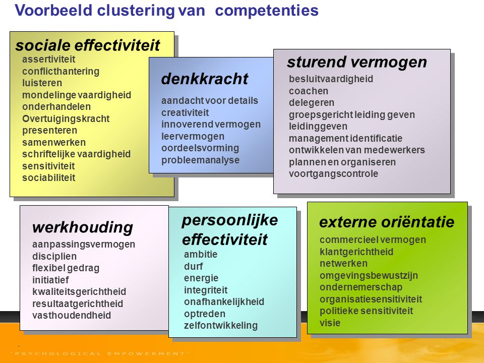 Voorbeeld clustering van competenties