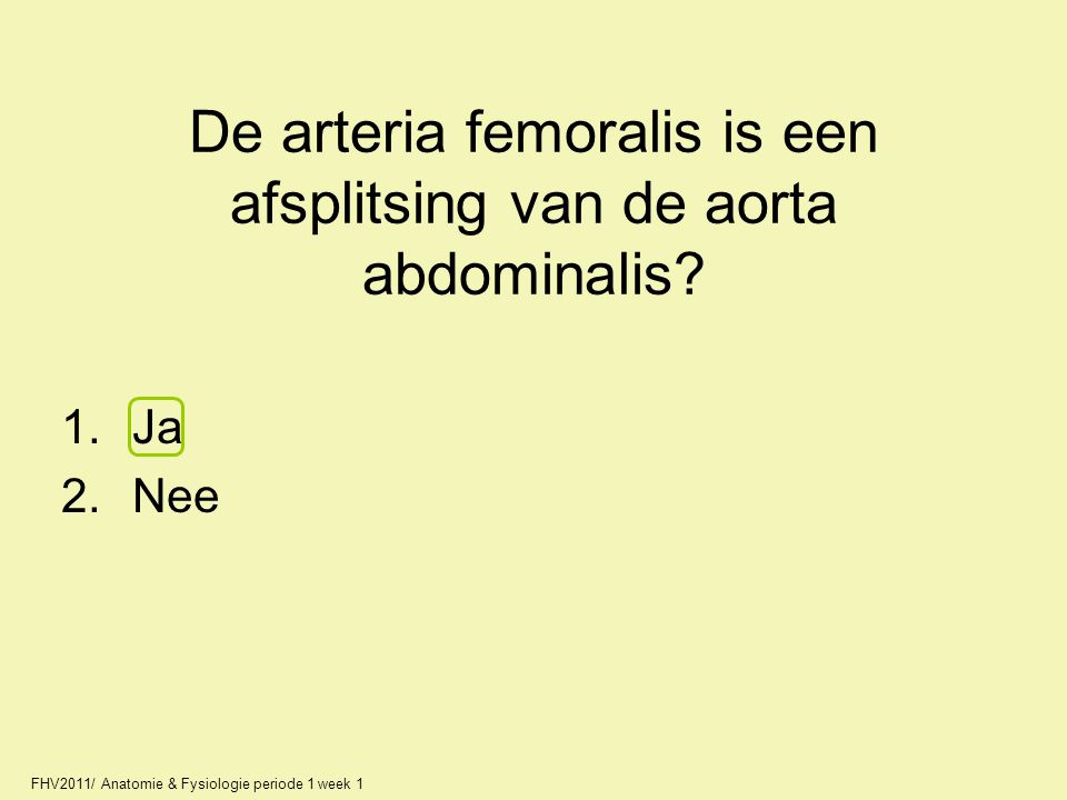 De arteria femoralis is een afsplitsing van de aorta abdominalis