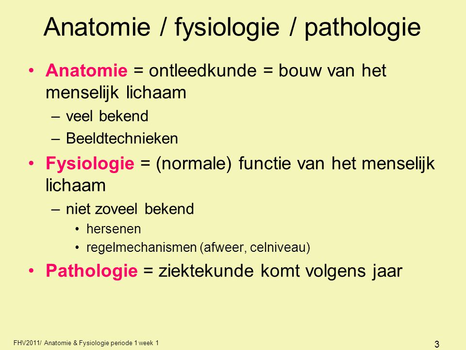 Anatomie / fysiologie / pathologie