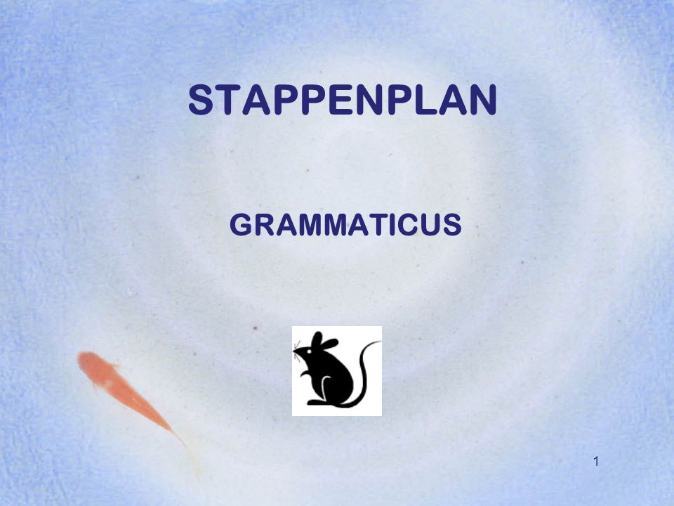 STAPPENPLAN GRAMMATICUS