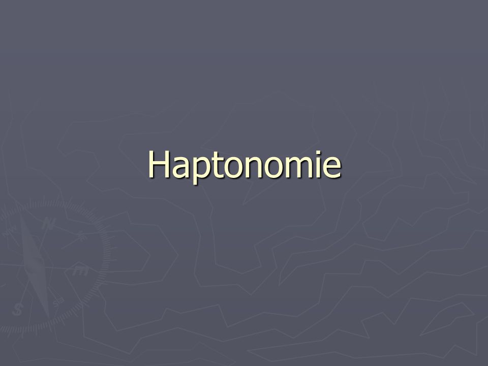 Haptonomie