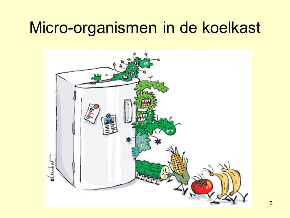 Micro-organismen in de koelkast