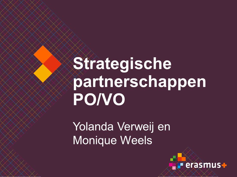 Strategische partnerschappen PO/VO