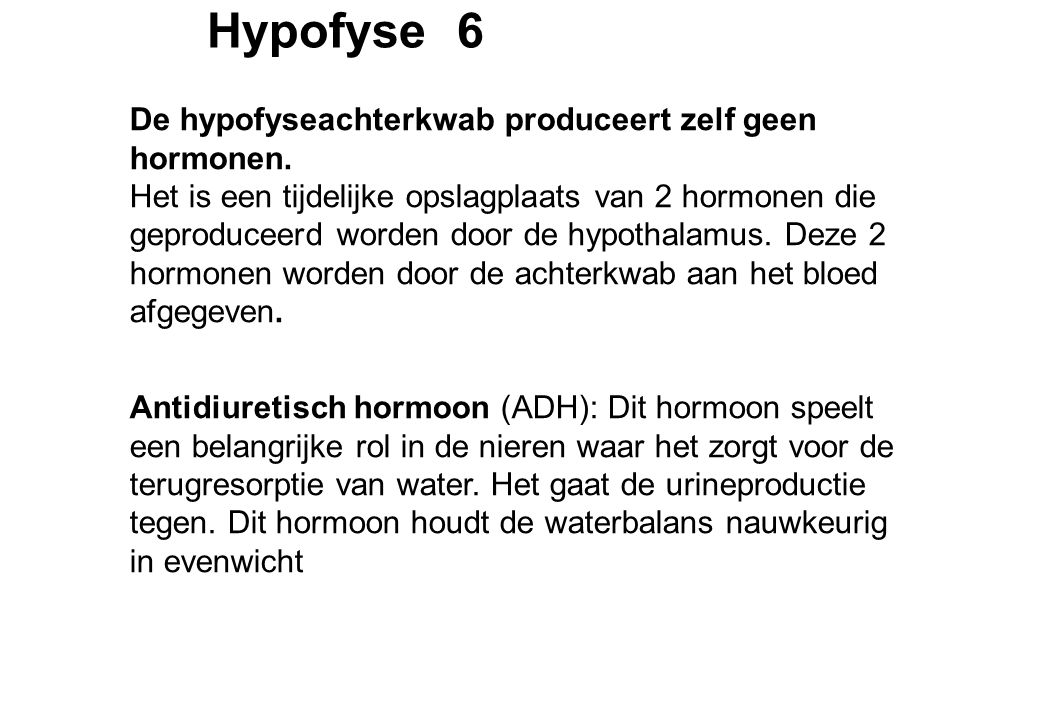 Hypofyse 6