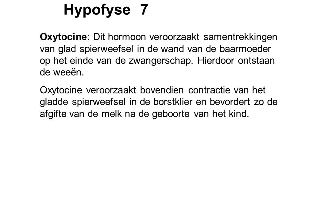 Hypofyse 7