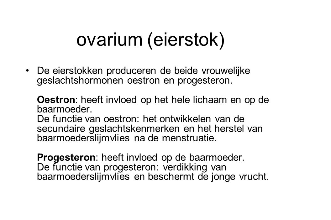 ovarium (eierstok)