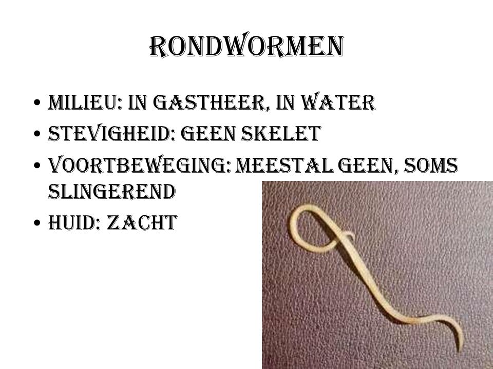 Rondwormen Milieu: In gastheer, In water Stevigheid: Geen skelet