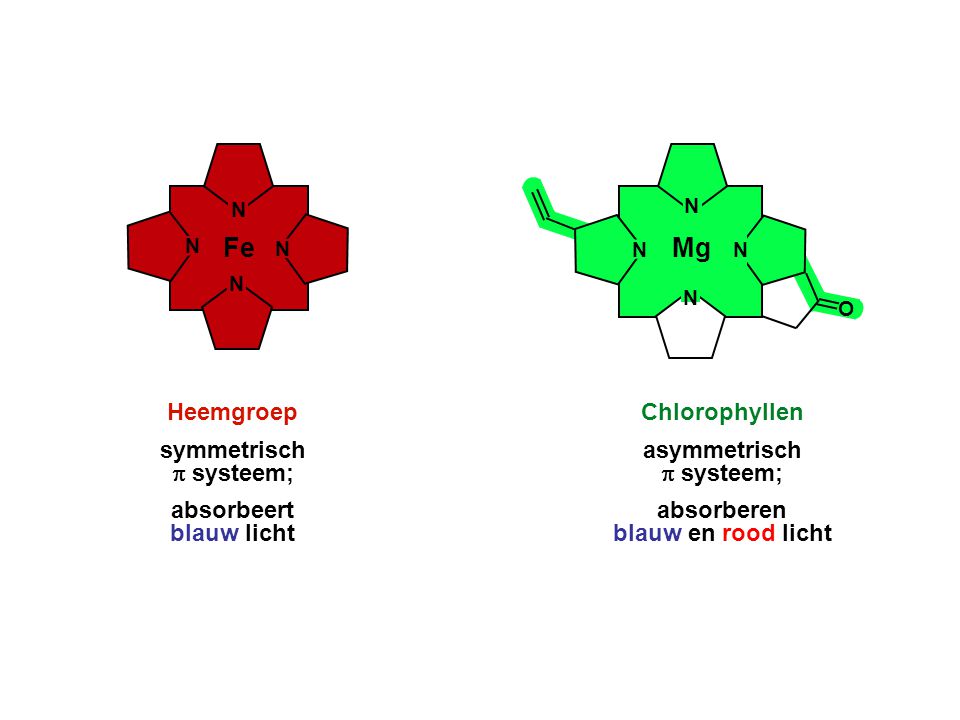 Fe Mg Heemgroep symmetrisch p systeem; absorbeert blauw licht