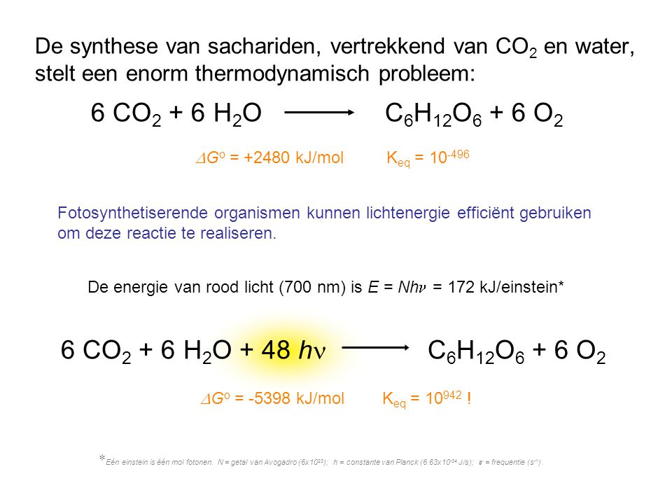 6 CO2 + 6 H2O C6H12O6 + 6 O2 6 CO2 + 6 H2O + 48 hn C6H12O6 + 6 O2
