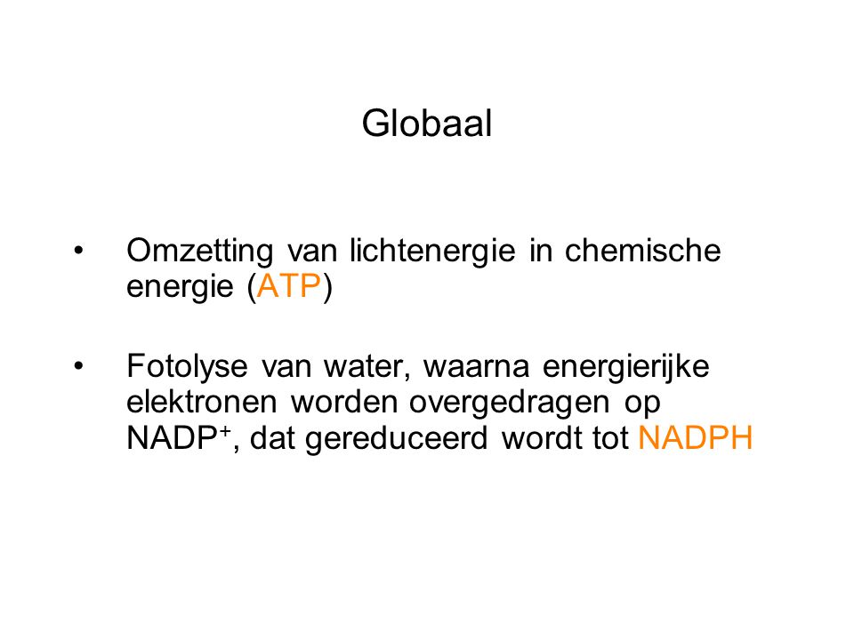 Globaal Omzetting van lichtenergie in chemische energie (ATP)