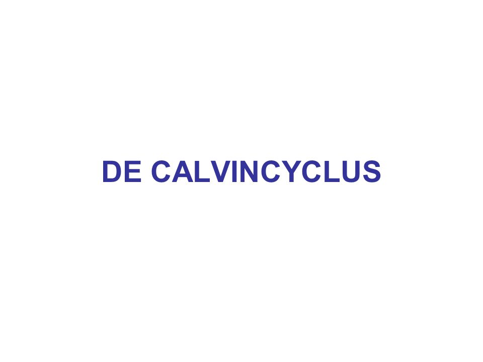 DE CALVINCYCLUS