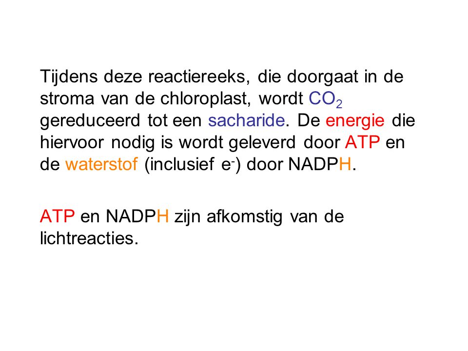 Tijdens deze reactiereeks, die doorgaat in de stroma van de chloroplast, wordt CO2 gereduceerd tot een sacharide. De energie die hiervoor nodig is wordt geleverd door ATP en de waterstof (inclusief e-) door NADPH.