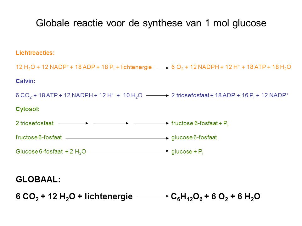 Globale reactie voor de synthese van 1 mol glucose