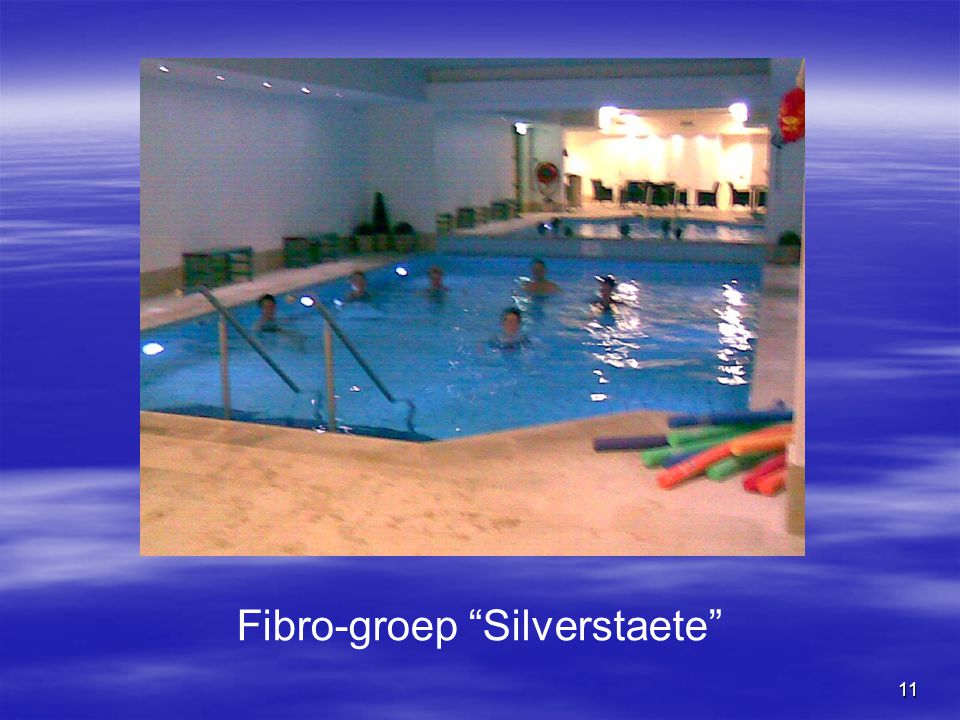 Fibro-groep Silverstaete
