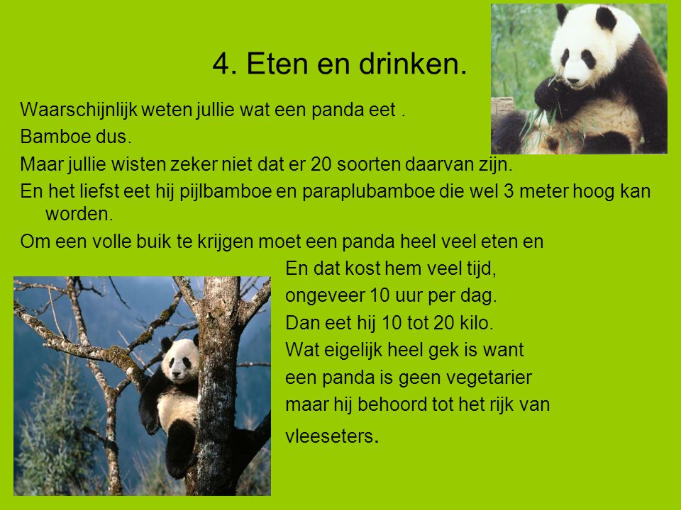 4. Eten en drinken. Waarschijnlijk weten jullie wat een panda eet .
