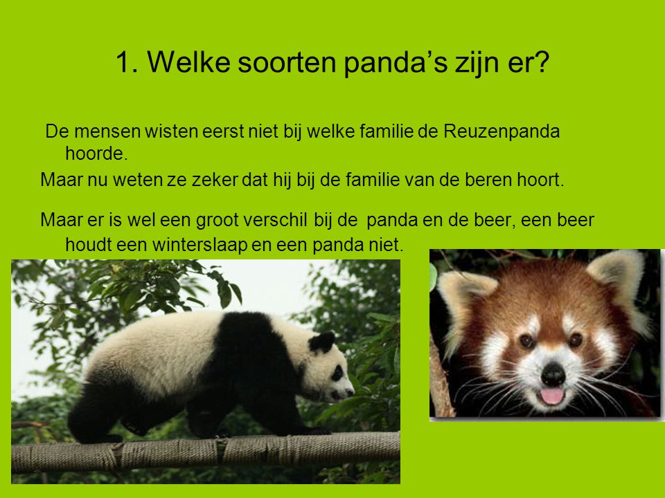 1. Welke soorten panda’s zijn er