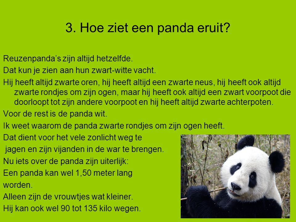 3. Hoe ziet een panda eruit