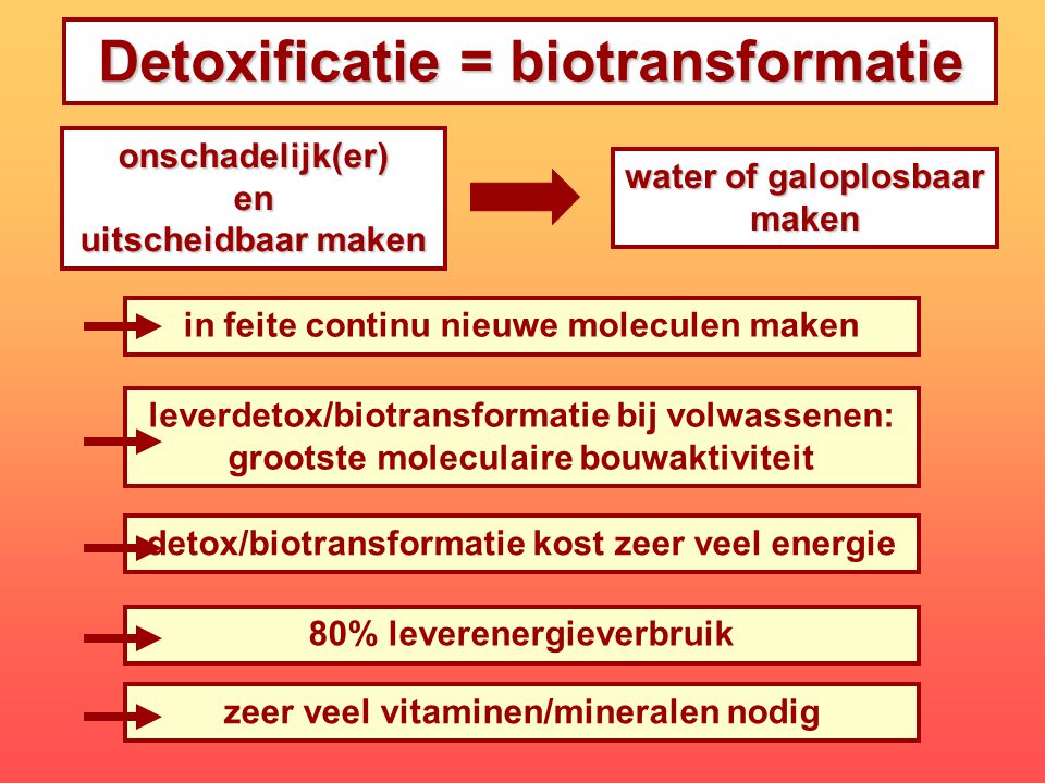 Detoxificatie = biotransformatie
