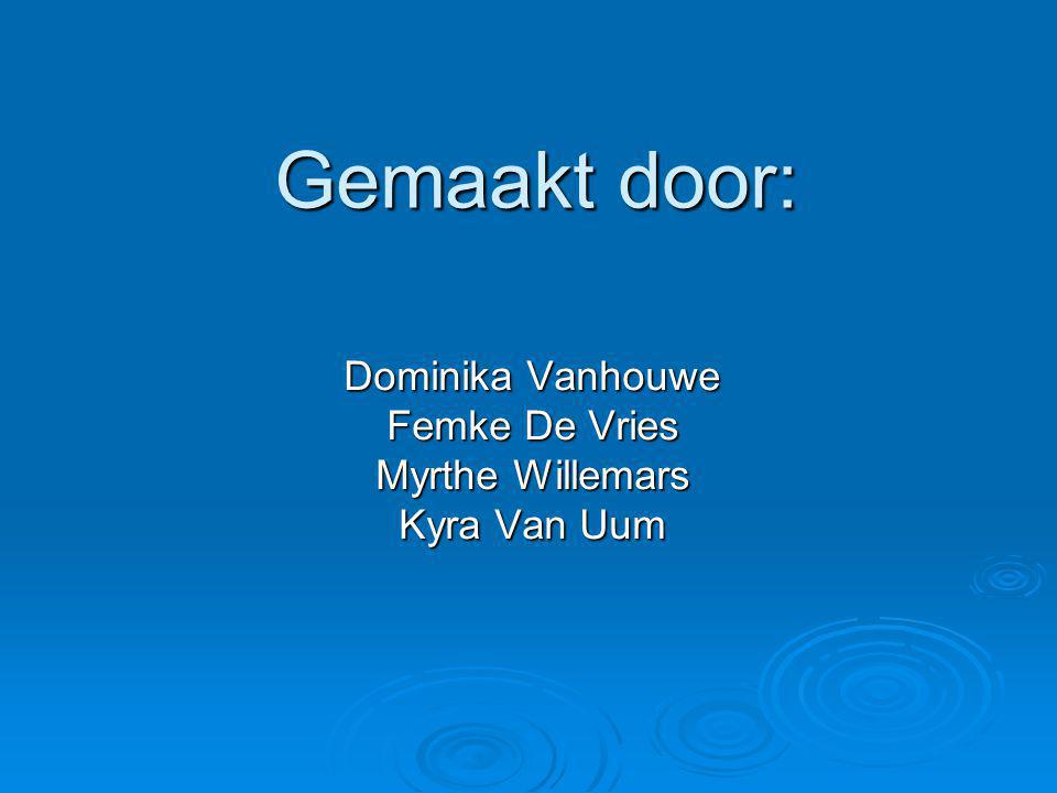 Dominika Vanhouwe Femke De Vries Myrthe Willemars Kyra Van Uum