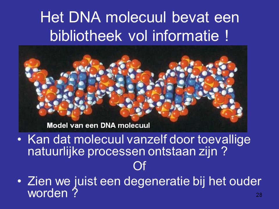 Het DNA molecuul bevat een bibliotheek vol informatie !