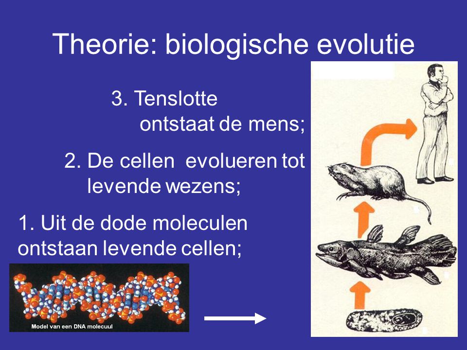 Theorie: biologische evolutie