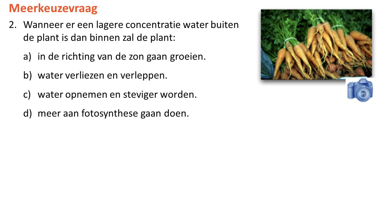Meerkeuzevraag Wanneer er een lagere concentratie water buiten de plant is dan binnen zal de plant: