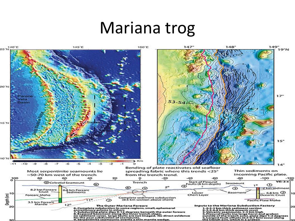 Mariana trog