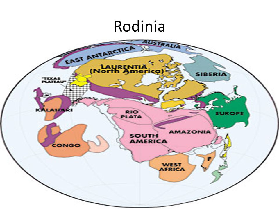 Rodinia 1MM ya:valt uiteen in Godwana (zuidelijk) en Laurentia (Afrika komt meer dan 10 meter omhoog)
