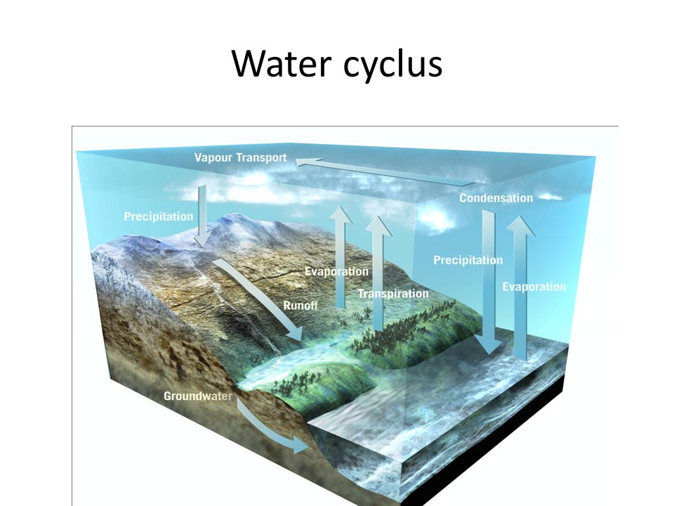 Water cyclus Water bedekt Aarde voor 75%