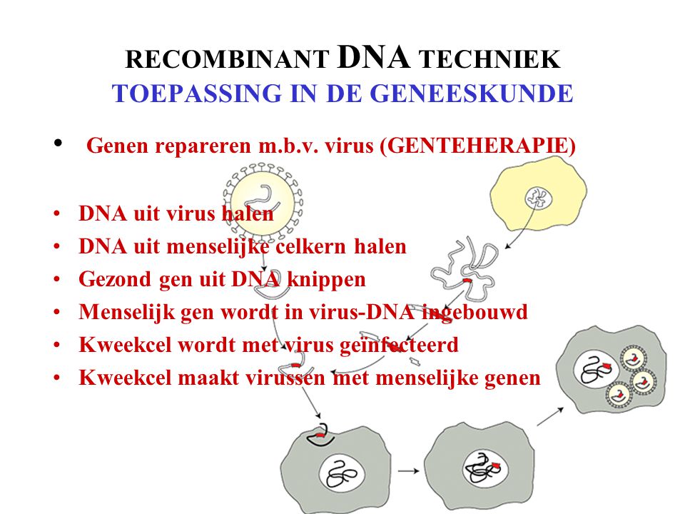 RECOMBINANT DNA TECHNIEK TOEPASSING IN DE GENEESKUNDE