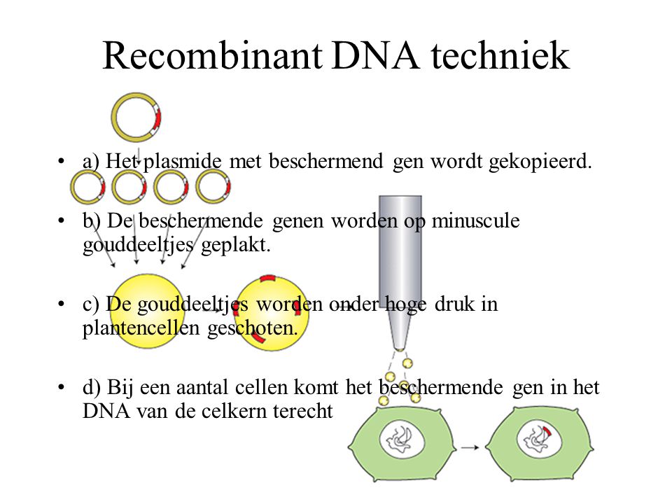 Recombinant DNA techniek