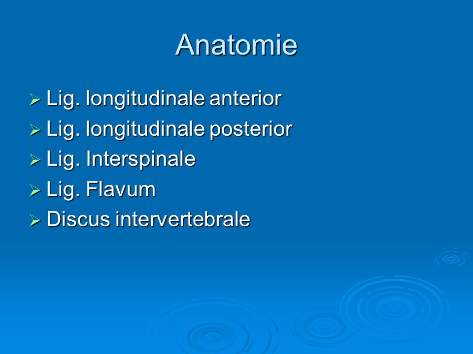 Anatomie Lig. longitudinale anterior Lig. longitudinale posterior