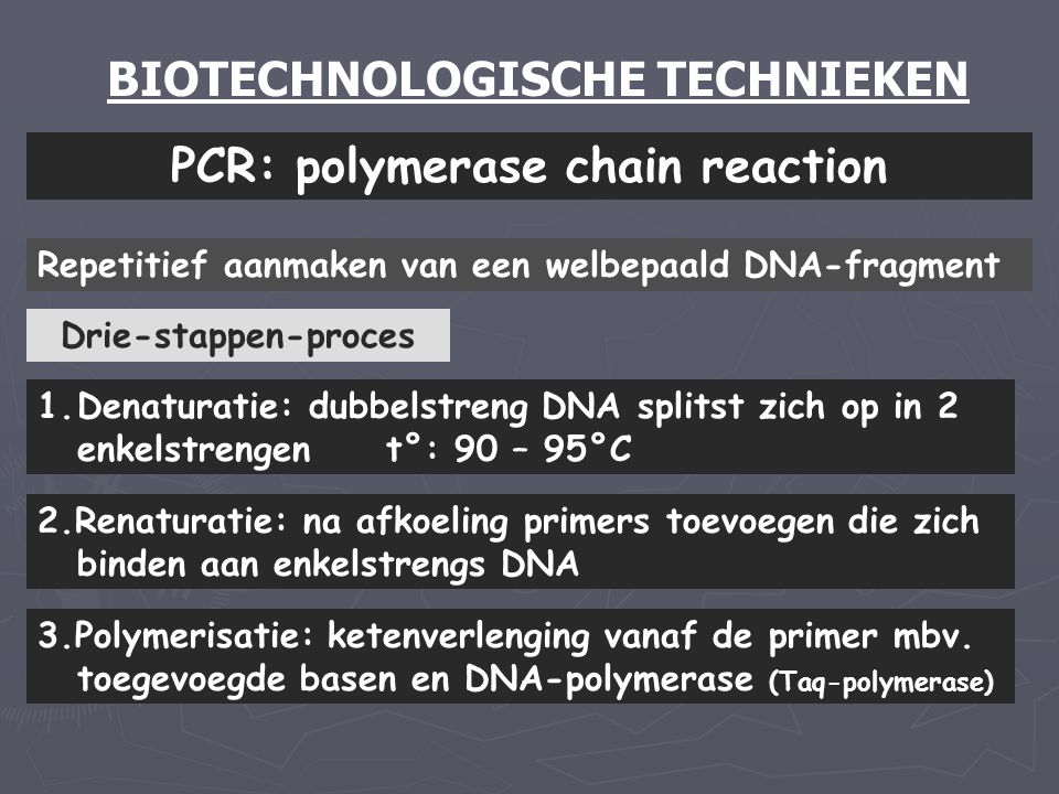 BIOTECHNOLOGISCHE TECHNIEKEN PCR: polymerase chain reaction