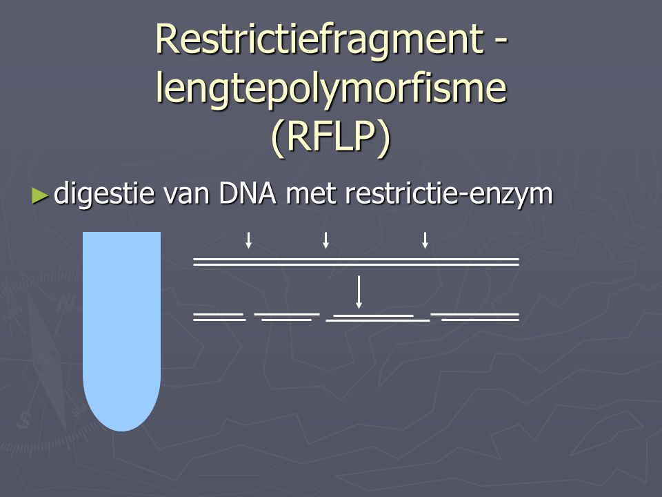 Restrictiefragment -lengtepolymorfisme (RFLP)