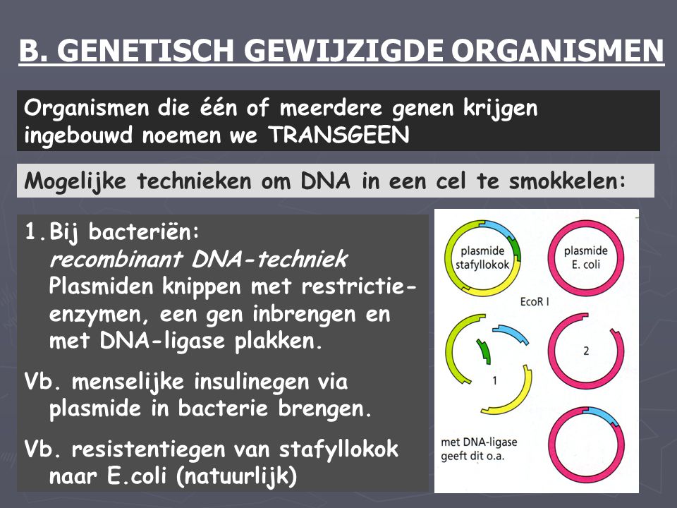 B. GENETISCH GEWIJZIGDE ORGANISMEN