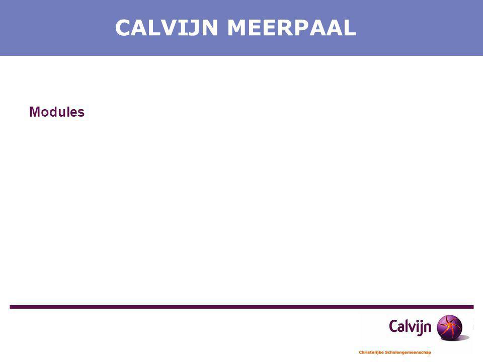 CALVIJN MEERPAAL Modules