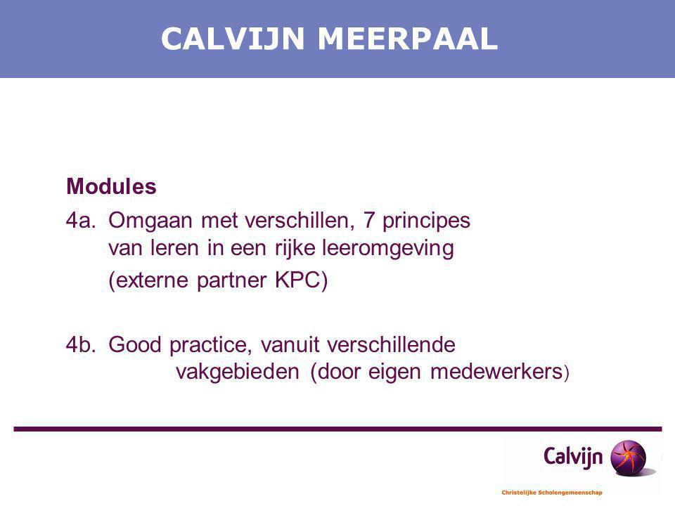 CALVIJN MEERPAAL Modules