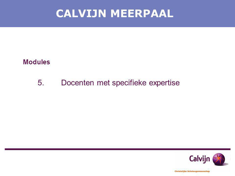 CALVIJN MEERPAAL Modules 5. Docenten met specifieke expertise