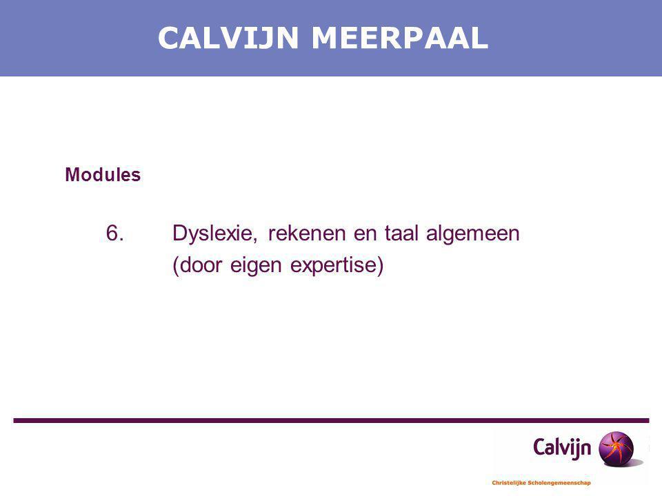 CALVIJN MEERPAAL Modules (door eigen expertise)